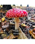Fungi Remedies