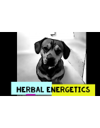 Dogs Herbal Energetic's
